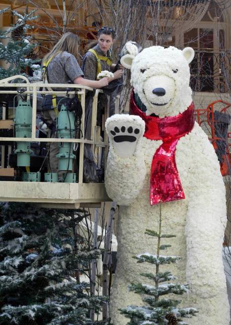 Gardeners Maryanne Deem, left, and Kolana Dixon create a polar bear with carnations in preparat ...