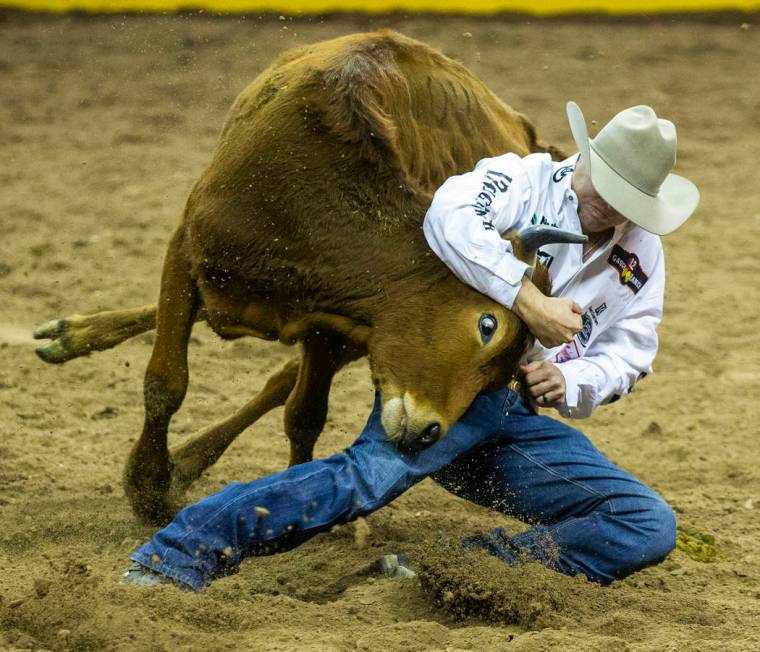 Tyler Waguespack of Gonzales, La., takes control in Steer Wrestling during a first-place run of ...