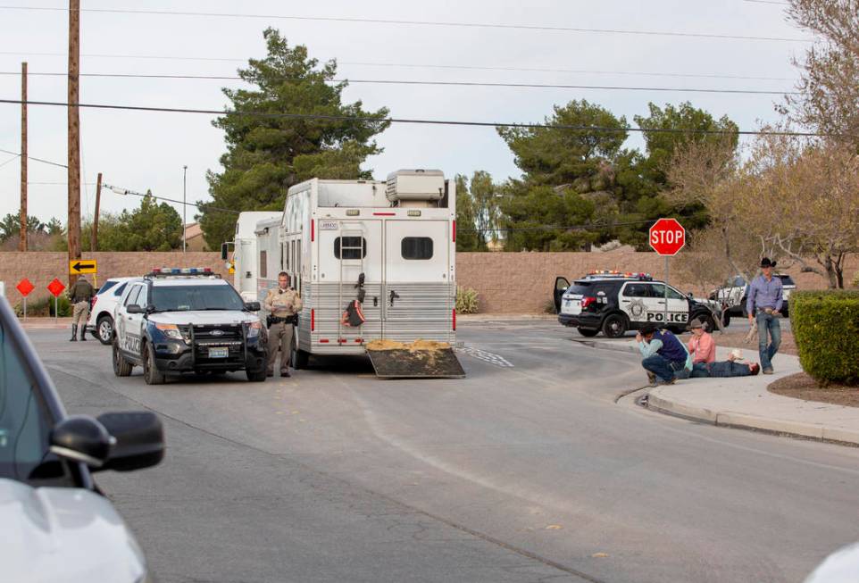 A stolen car crashed into a horse trailer at Flamingo Road and Stephanie Street, near Horseman& ...