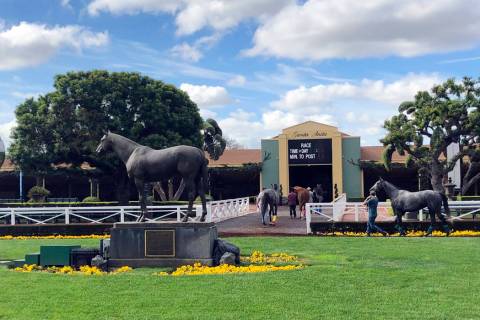 Horses are led to paddocks past the Seabiscuit statue during workouts at Santa Anita Park in Ar ...