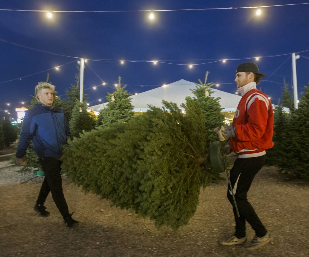 Justin Hausner, left, and Brad Stone carry a newly bought Christmas tree off the lot on Wednesd ...