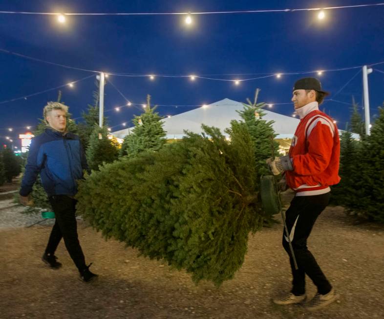 Justin Hausner, left, and Brad Stone carry a newly bought Christmas tree off the lot on Wednesd ...