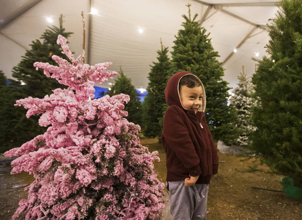Jacob Koapaka, 3, stands in a row of Christmas trees on Wednesday, Dec. 11, 2019, at 510 South ...