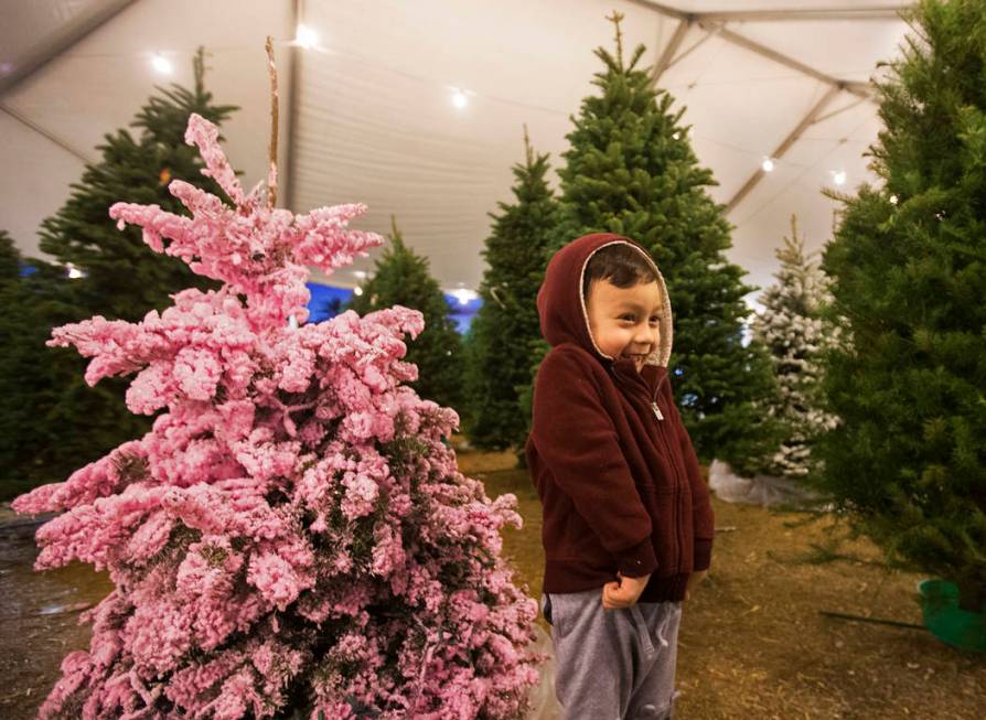 Jacob Koapaka, 3, stands in a row of Christmas trees on Wednesday, Dec. 11, 2019, at 510 South ...