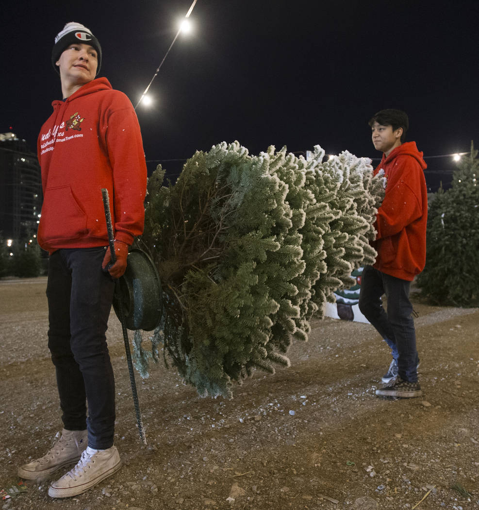 Phoenix Dante, left, and Lincoln Shorter carry a newly bought Christmas tree to a customers car ...