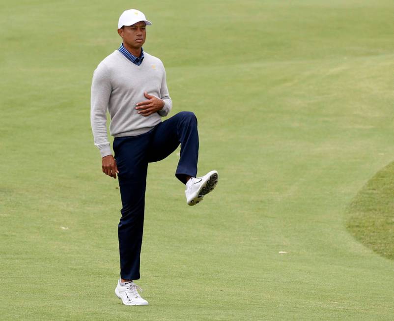 U.S. team player and captain Tiger Woods stretches his leg on the 7th fairway in their foursome ...