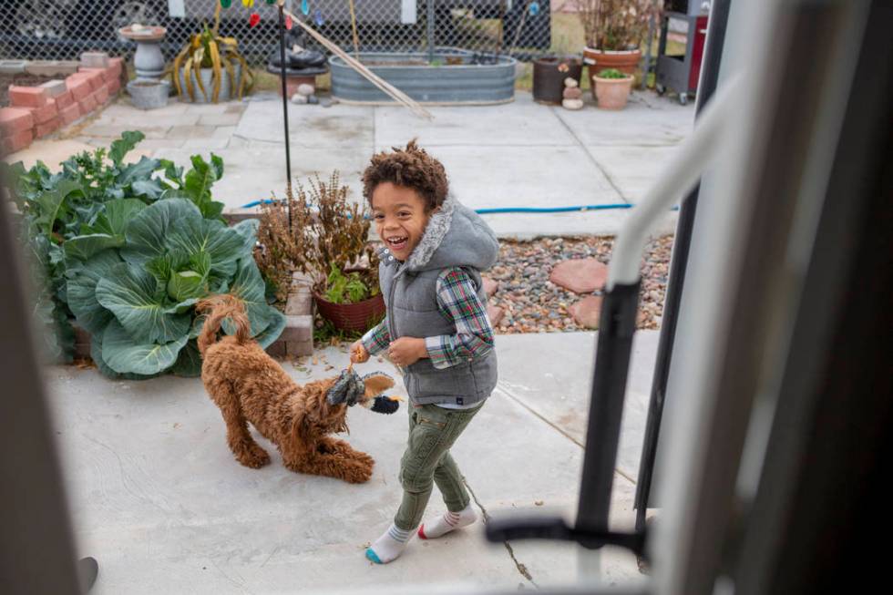 Olamide Ajayi, 6, plays with Nalulani, his mentor Lisa Bernauer's therapy dog, at Bernauer's ho ...