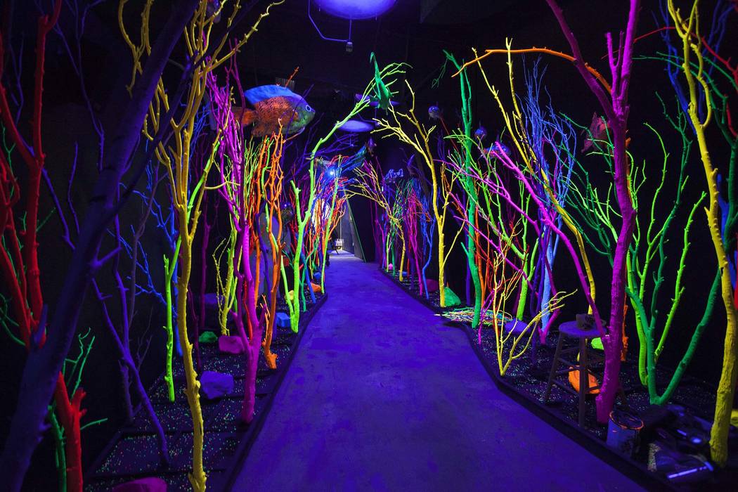 Roaming through portals and shadowy pathways leads to a bioluminescent aquarium at Meow Wolf Ho ...