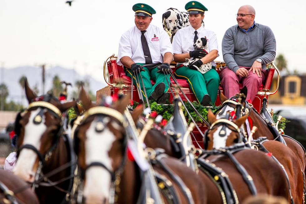 Budweiser red beer wagon driver Eric Reisenberger is joined by Shelby Zarobinski with Weiser, a ...