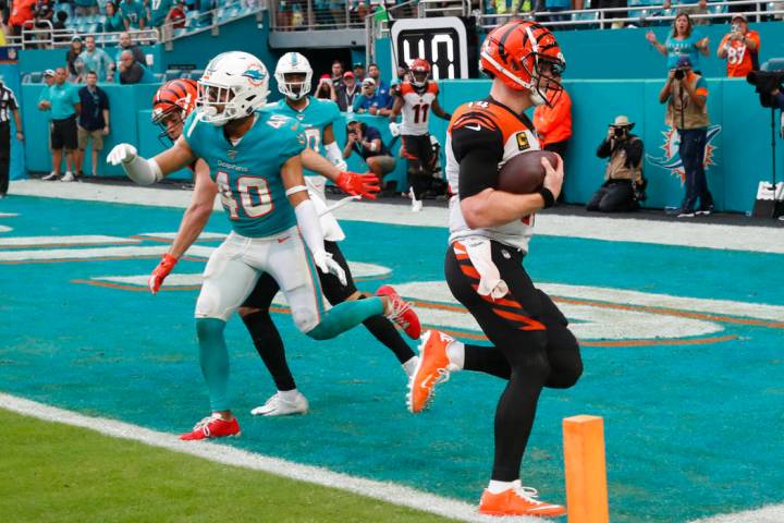 Cincinnati Bengals quarterback Andy Dalton (14) scores a two-point conversion to tie the game, ...