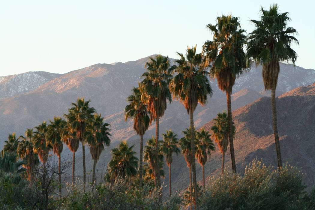 Sunrise in Palm Springs, Calif., a favorite winter getaway destination for Southern Nevadans. ( ...