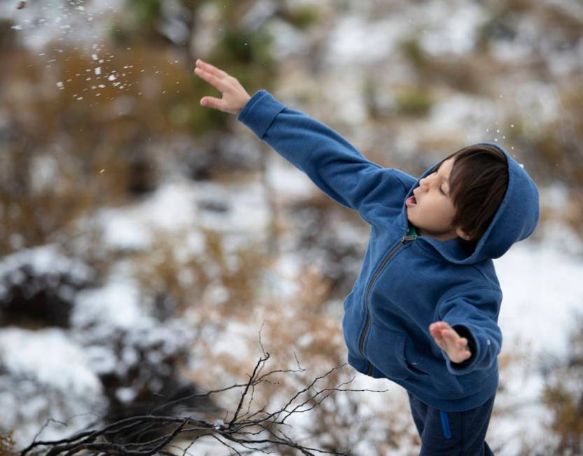 Daniel Birecki, 7, of Alberta, Canada, throws a snowball after his family pulled to the side of ...