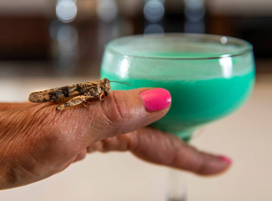 Grasshopper drink with grasshopper hanging out nearby by bartender Sarah Contois at the Smashed ...