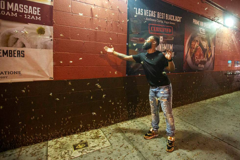 Dorian Williams, from Houston, checks out the grasshoppers outside the El Cortez on Sunday, Jul ...