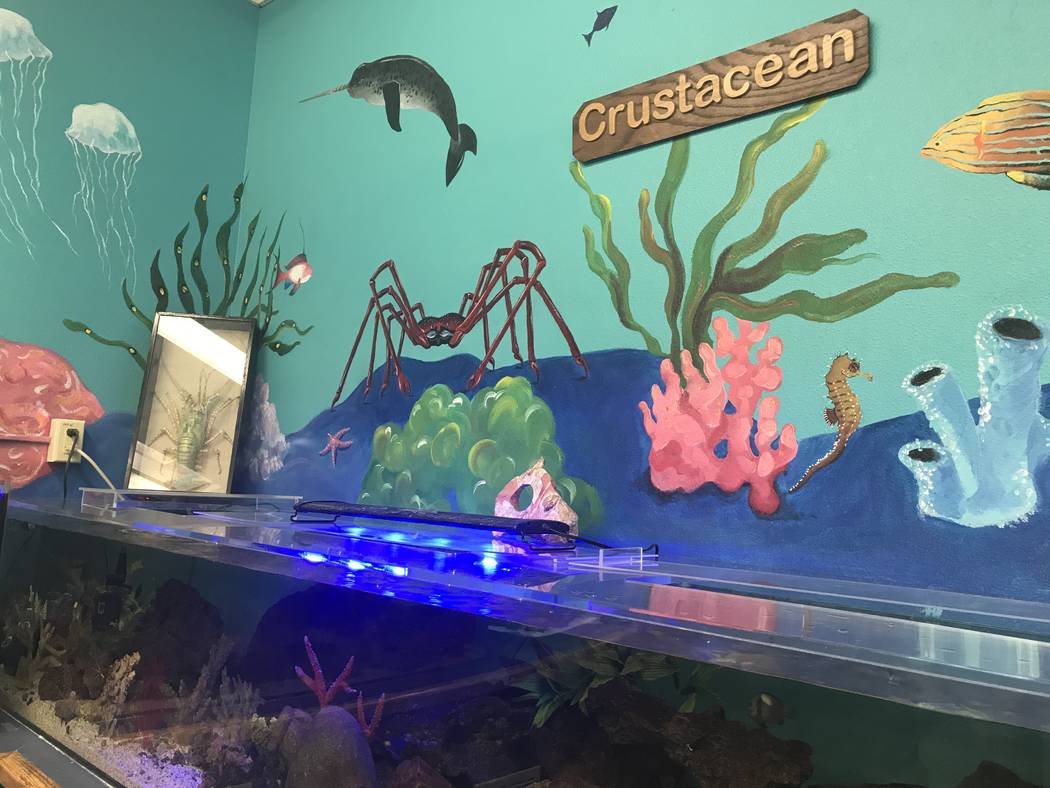 McDoniel Elementary School's marine lab in Henderson is pictured Jan. 16, 2020. (Julie Wootton- ...