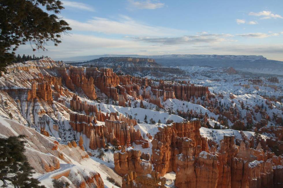 Though it's called a canyon, Bryce actually is made up of 12 natural amphitheaters. (Deborah Wa ...
