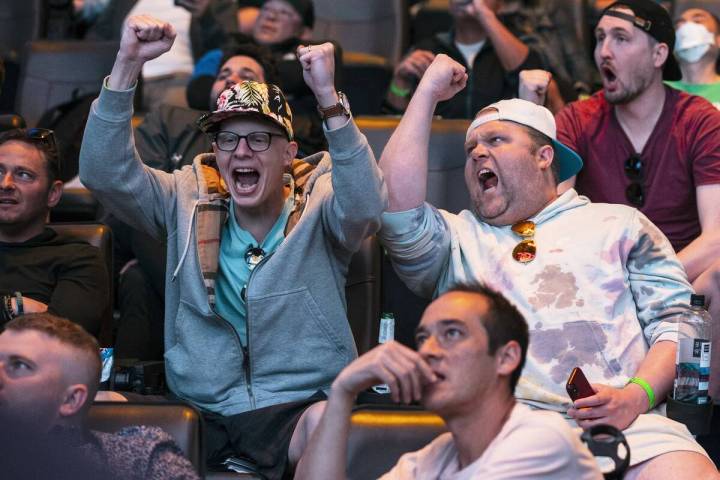 Max Shapiro, left, and his brother Andrew, both of St. Louis, Mo., react to a game being played ...