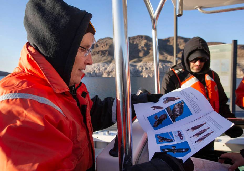 Linder Rohrbach, a second-time eagle survey volunteer, reviews how to classify different types ...