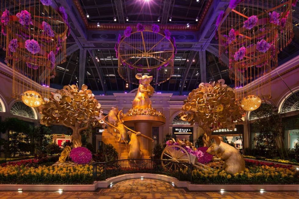 Lunar New Year at Bellagio Conservatory & Botanical Gardens (©Kelly McKeon;KellyCreati ...