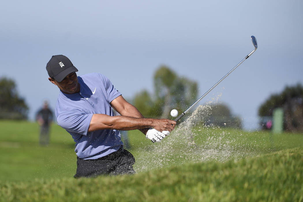 Tiger Woods hits out of the bunker on the 11th hole of the North Course at Torrey Pines Golf Co ...