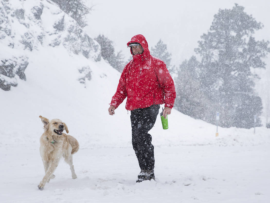 Paul Whitmoyer, right, and golden retriever Kona hike in the snow at Mount Charleston on Wednes ...