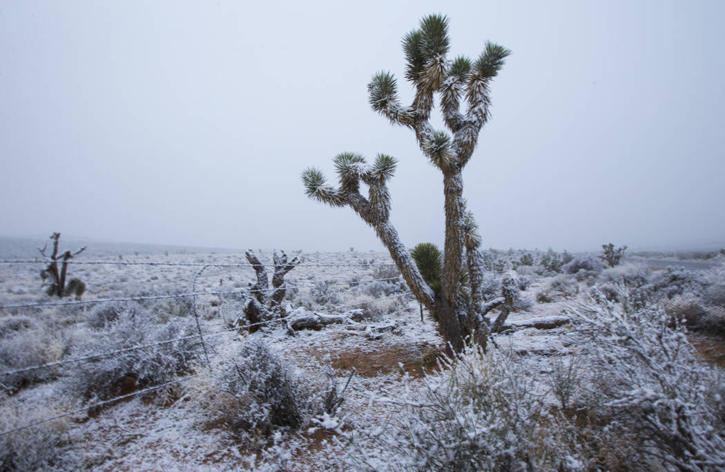 Snow falls along state Route 159 around the Red Rock Canyon National Conservation Area outside ...