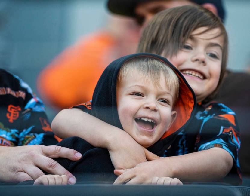 Liam Olma, 6, top/right, hugs his brother Jason Schwarz, 2, in the seventh inning during a Majo ...