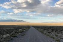 Typical Nevada pronghorn habitat. Note the low-growing vegetation and wide-open spaces. Part of ...