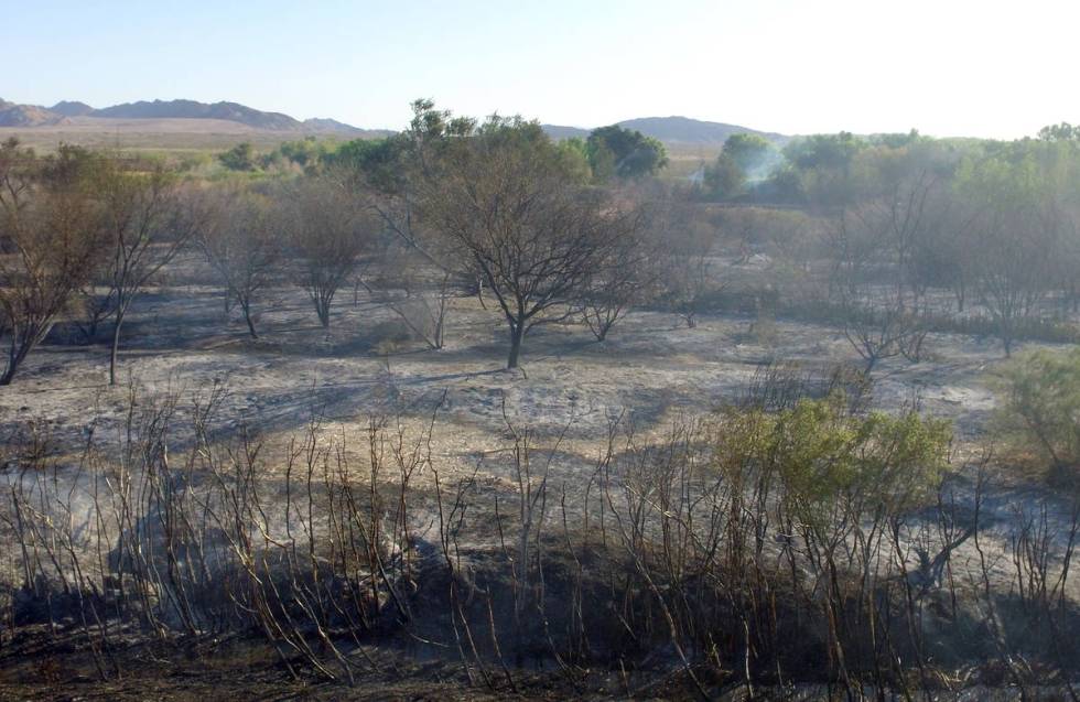 Burned-out areas at Wetlands Park are seen on Thursday, April 2, 2020, in Las Vegas. (Bizuayehu ...