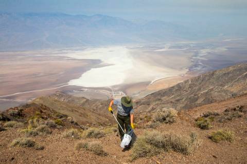 In this Aug. 7, 2018, file photo, Death Valley National Park custodian Terry Eddington picks up ...