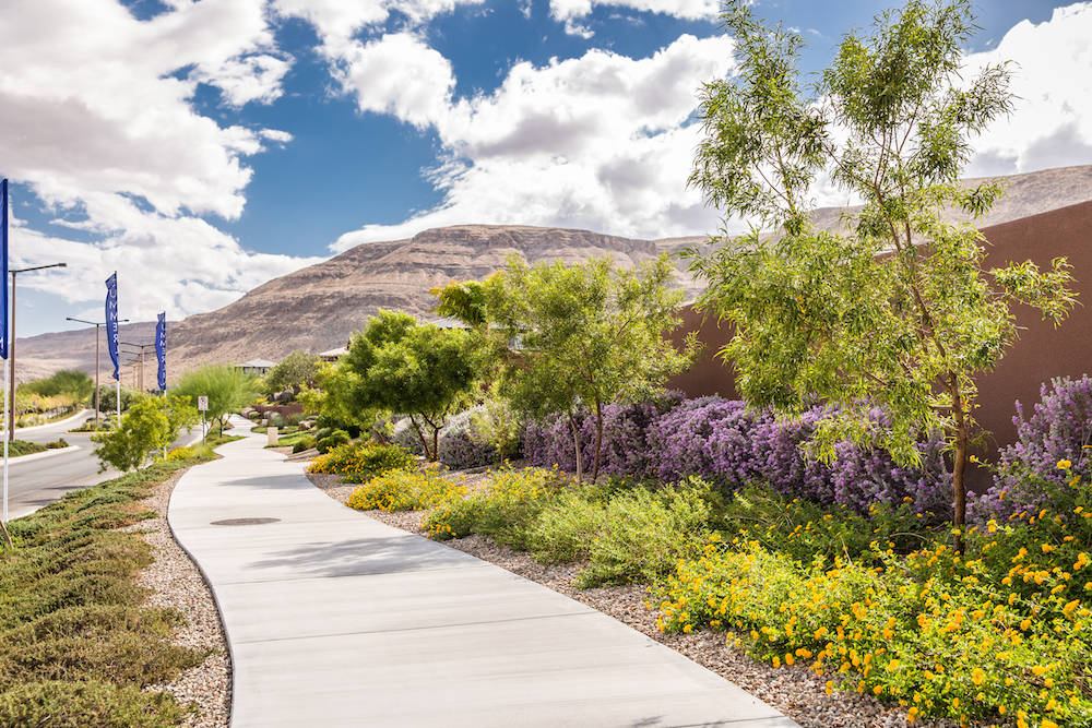 Summerlin has long fostered a culture of environmentally sensitive development as one of the va ...
