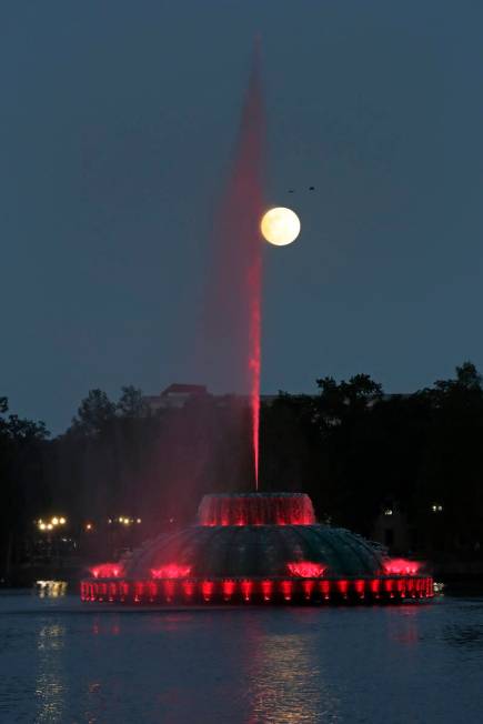 The supermoon rises in the sky in front of a fountain a Lake Eola Tuesday, April 7, 2020, in (O ...