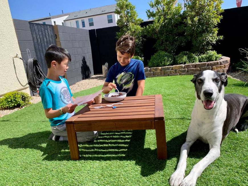 Inspirada residents, Taosies and Artyom Acosta with their Great Dane, Echo, spend time outside. ...
