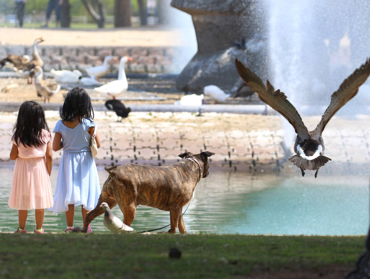 Aba Miyu, left, 3, and her sister Rosario, 5, relax at Sunset Park during a sunny Friday, April ...