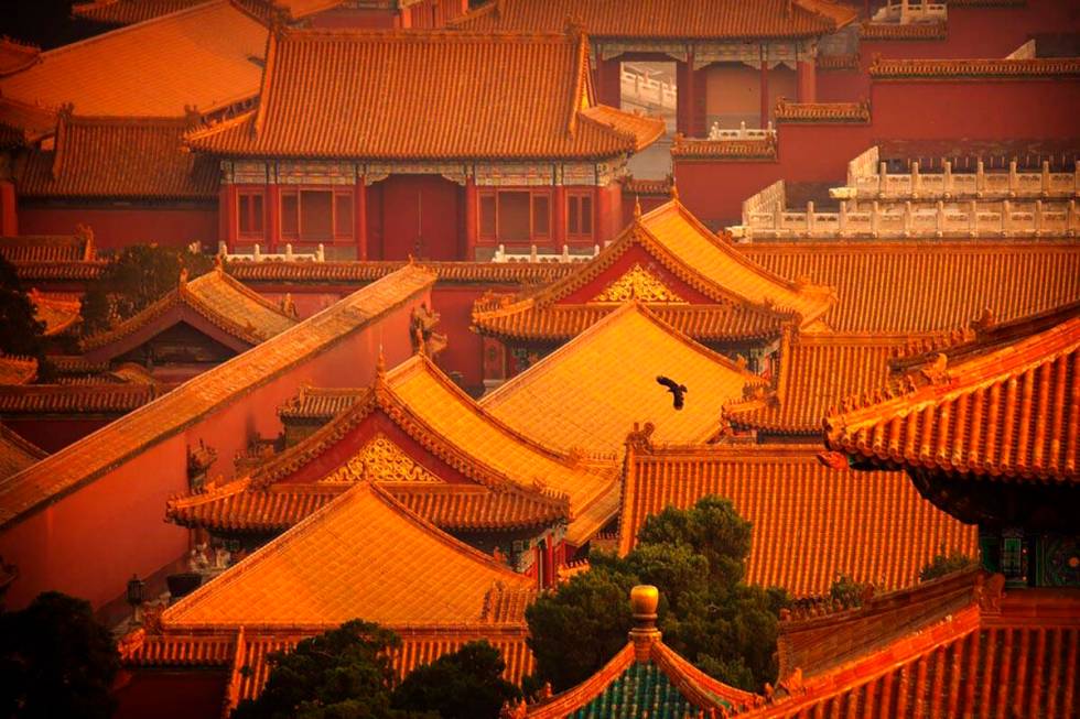 A bird flies over the Forbidden City, which is closed to the public due to the coronavirus outb ...