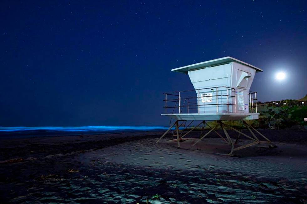 Waves glow with blue bioluminescence from an algae bloom in the ocean waters as a lifeguard tow ...