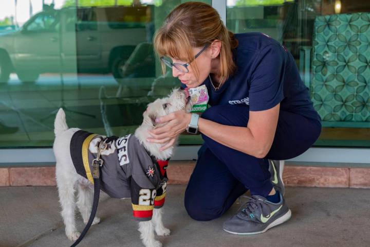 Clinical supervisor Stephanie Aceto receives a kiss from Bark-Andre Furry while he wears a Gold ...