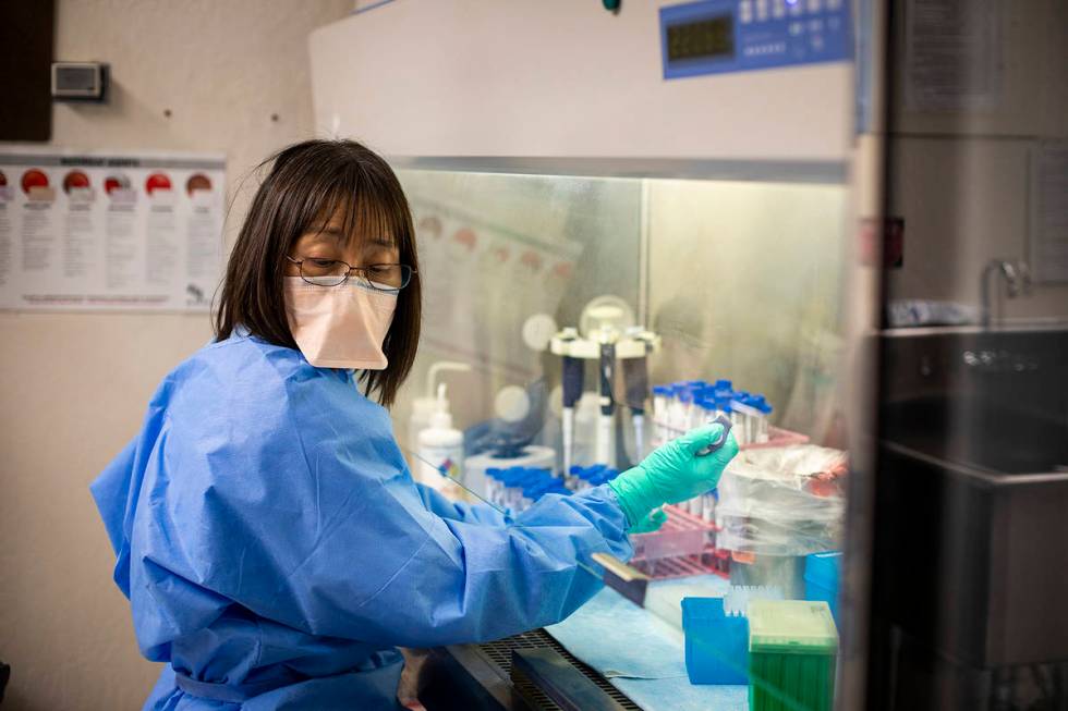 Scientists at the Nevada State Public Health Laboratory at UNR's School of Medicine collect cri ...