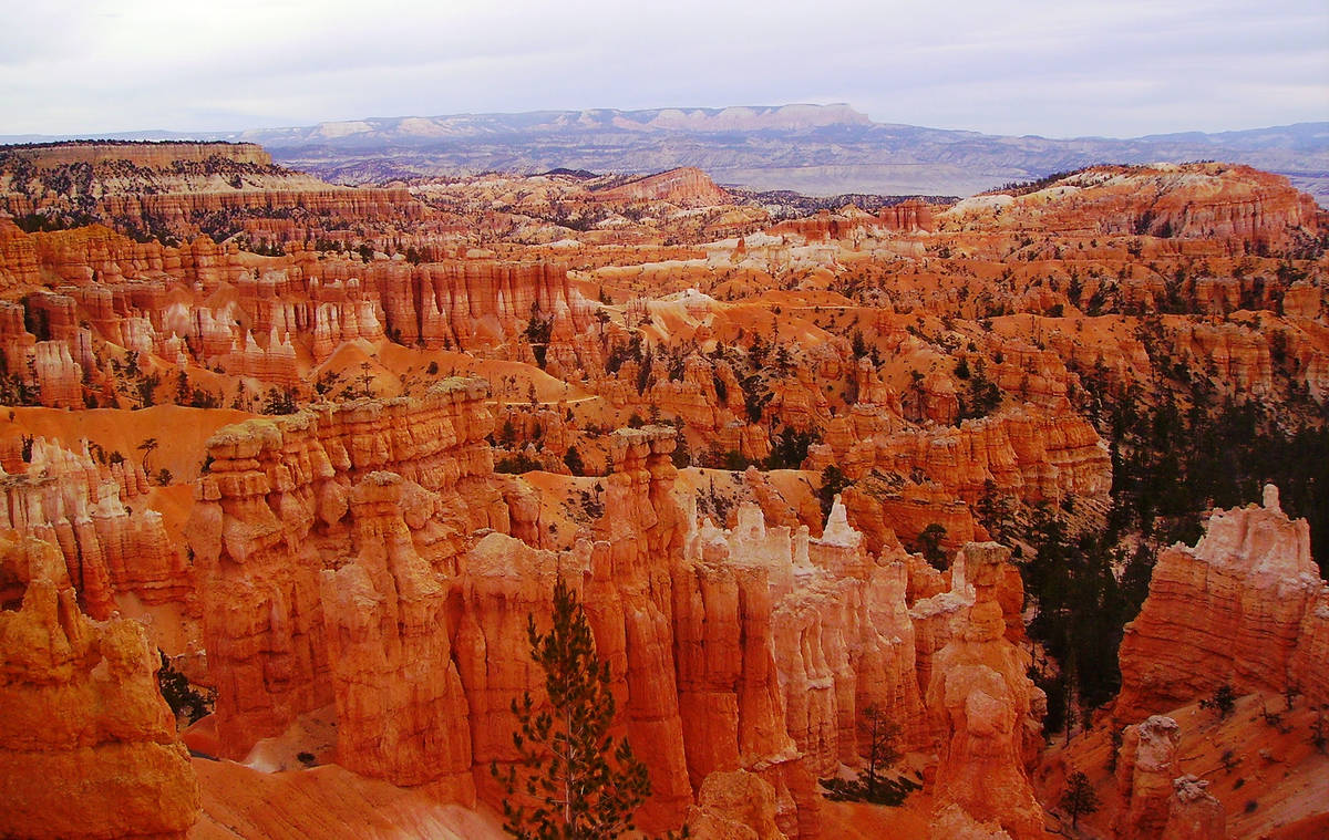 Bryce Canyon National Park in Utah (Deborah Wall)