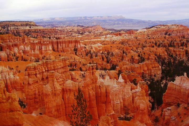 Bryce Canyon National Park in Utah (Deborah Wall)