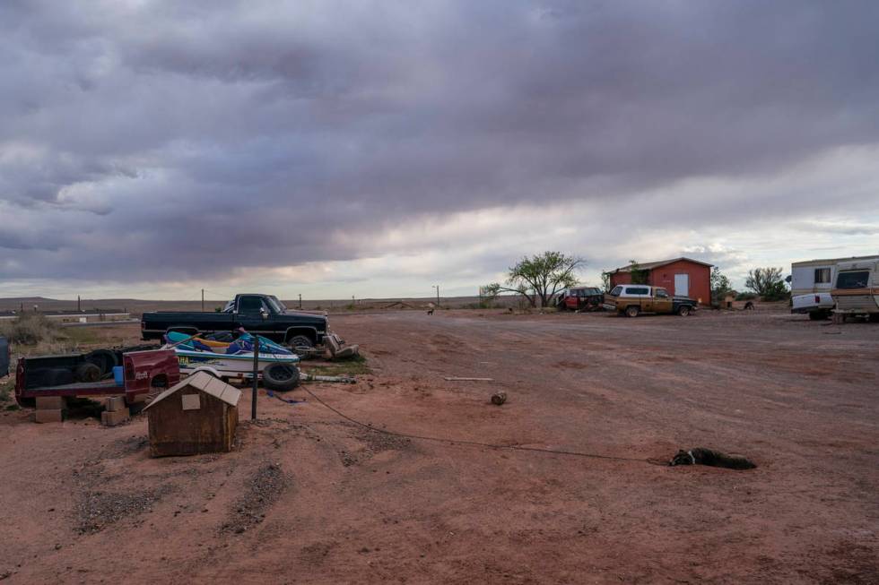 A dog sleeps on the red sand on the end of his chain at the Dinehdeal family compound in Tuba C ...