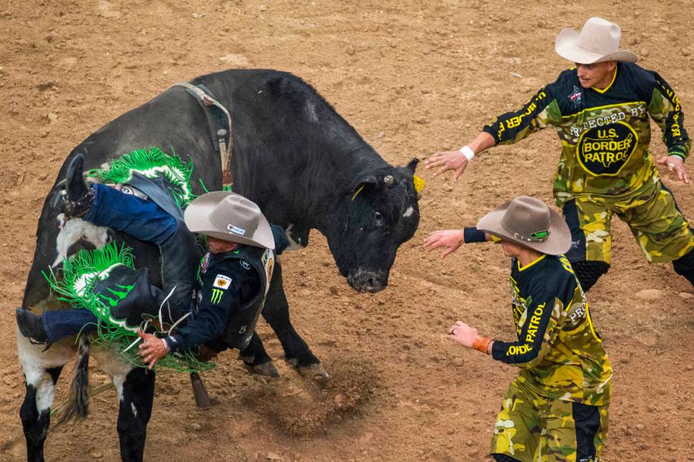 Marco Eguchi falls off the back of Wild Child during the third day of the PBR World Finals at T ...