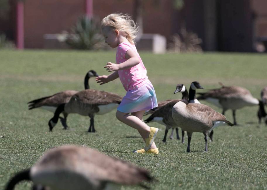 Evelyn McClellan, 3, plays at Cornerstone Park on Tuesday, May 19, 2020, in Henderson. (Bizuaye ...