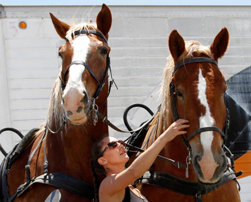 Gladius The Show performer Nicole England-Czyzewski takes care of horses, Cannon and Thunder du ...