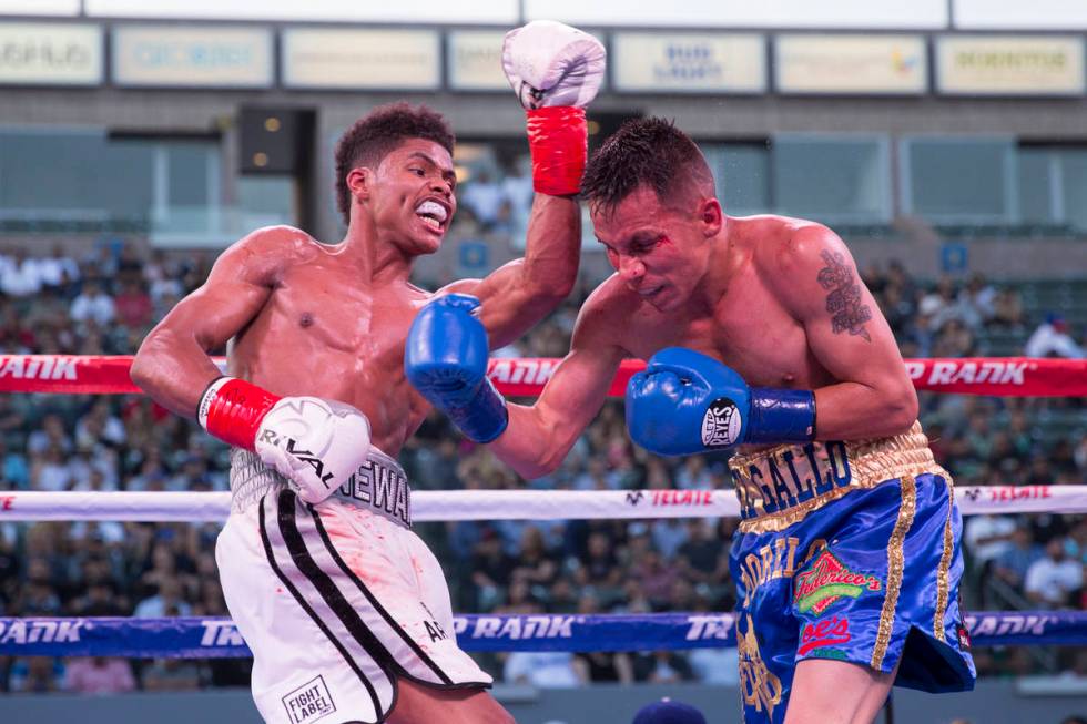 Shakur Stevenson, left, battles Edgar Brito in their WBO World Championship bout at the StubHu ...