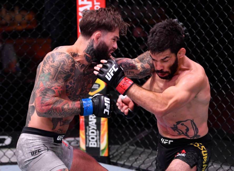 LAS VEGAS, NEVADA - JUNE 06: (L-R) Cody Garbrandt punches Raphael Assuncao of Brazil in their b ...