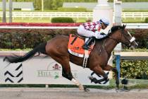In this March 28, 2020, image provided by Gulfstream Park, Tiz the Law, riddren by Manuel Franc ...
