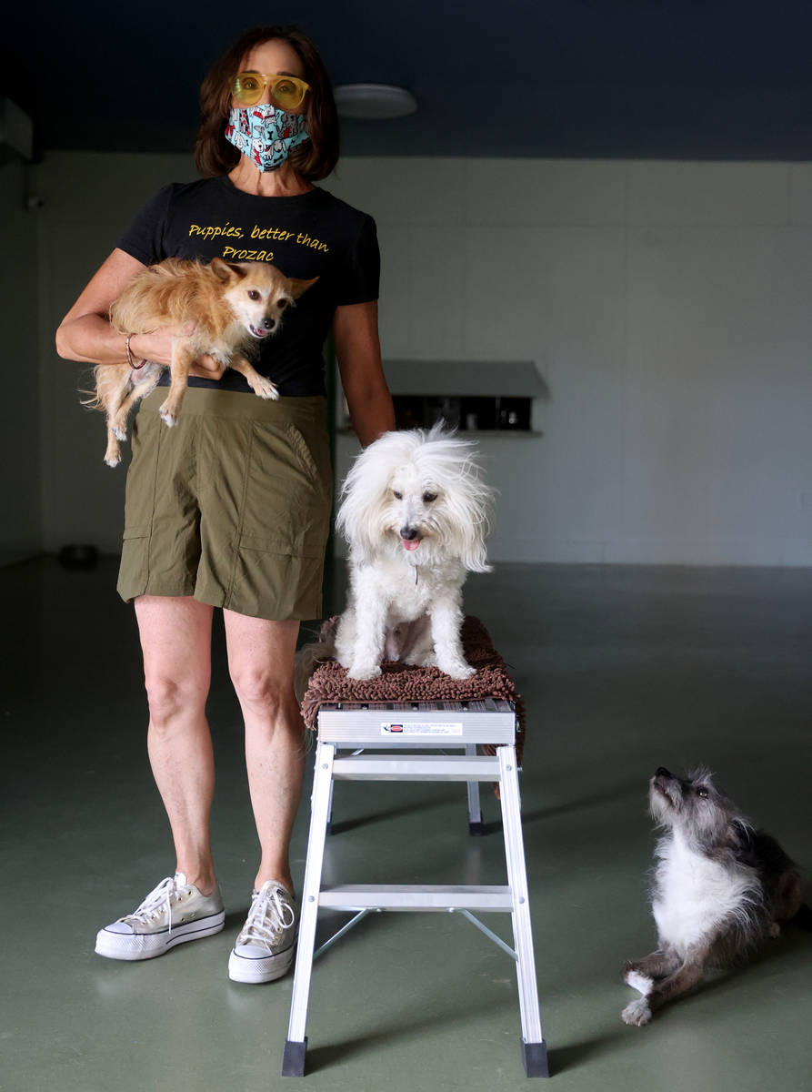 Cathy Brooks, owner of The Hydrant Club, with her dogs, from left, Harlow, Inigo Montoya and Br ...