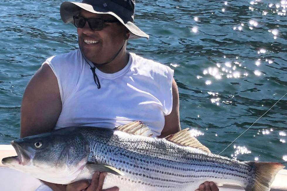 Larry Hanson, of Henderson, NV caught this 33-pound striped bass while trolling a six-inch trou ...