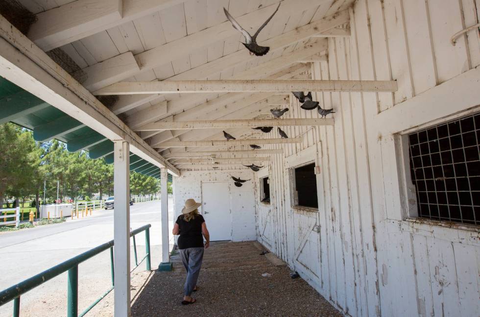 Karen Livingston, leader of the Save Floyd Lamb Park action group, looks into barns at Floyd La ...